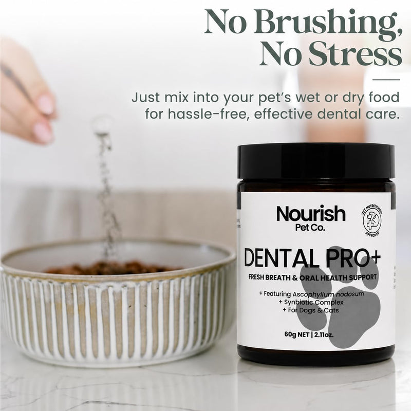 Nourish Pet Co. Dental Pro+ Pet Dental Powder, Cat & Dog Teeth Cleaning Powder, Breath Freshener, Fights Plaque and Tartar, Natural Ingredient Food Topper, 60 Servings