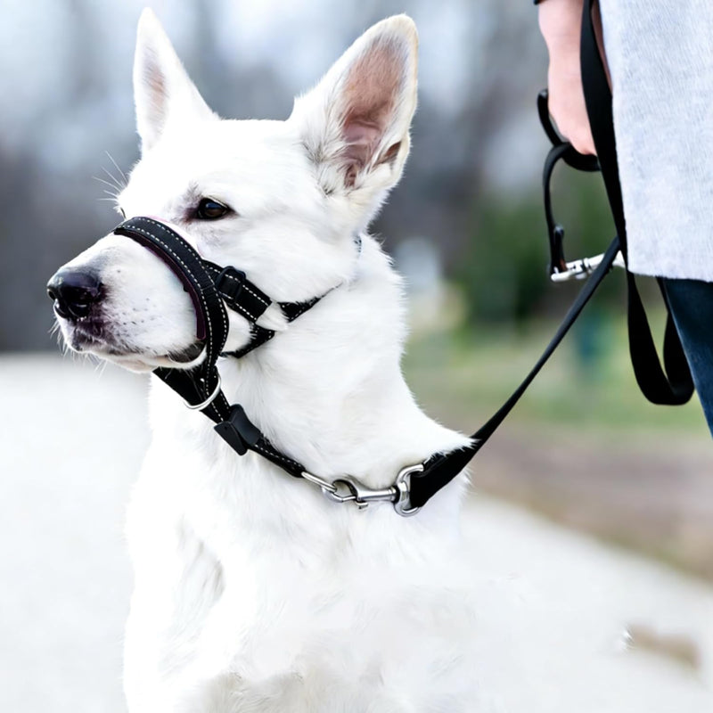 Adjustable Dog Head Halter with Safety Strap, Soft Padded Dog Head Collar for Small Medium Large Dogs, No-Pull Dog Harness for Training and Walking (Large, Black) L