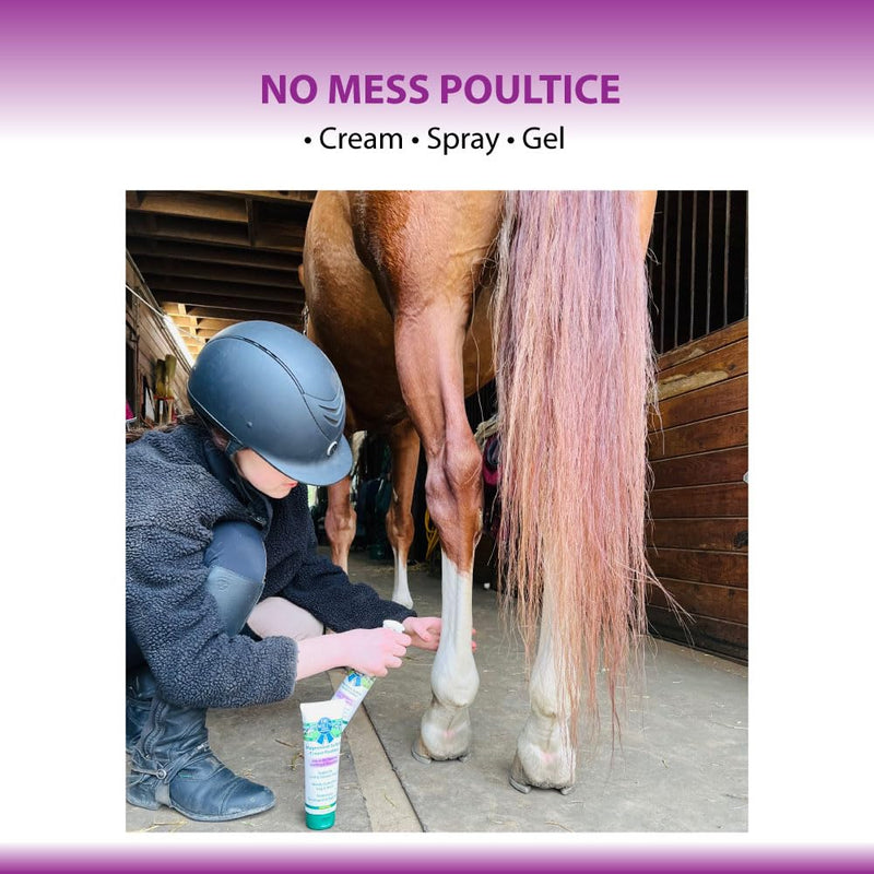 Dr. Milt's Horse Topical Epsom Salt Pain Relief Ointment Rub: Poultice and Liniment Cream. 1-8oz Cream 8 oz - BeesActive Australia