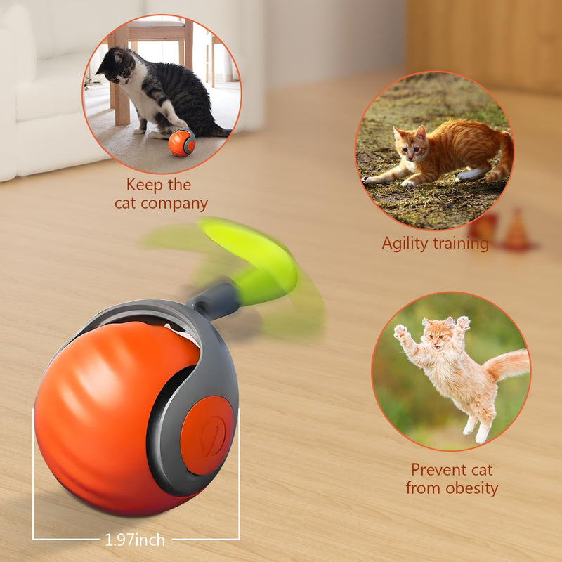 Speedy Tail 2.0, Speedy Tail Cat Toy, Interactive Cat Toy Ball, Motion Activated Cat Toy Balls, Cat Toys Balls with Feather Tail, Automatic Cat Toy, Cat Stimulation Toys for Indoor Cats Orange - BeesActive Australia