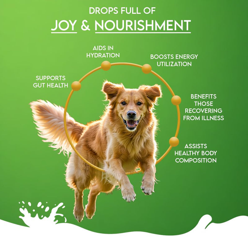 Pawfect Nature's Sip 100% Natural Goat Milk Powder for Dogs & Puppies- Easily Digestible- Source of Vitamins, Minerals & Probiotics- Healthy Topper- Hydration Support- 70 Scoops (350g/12.34oz)