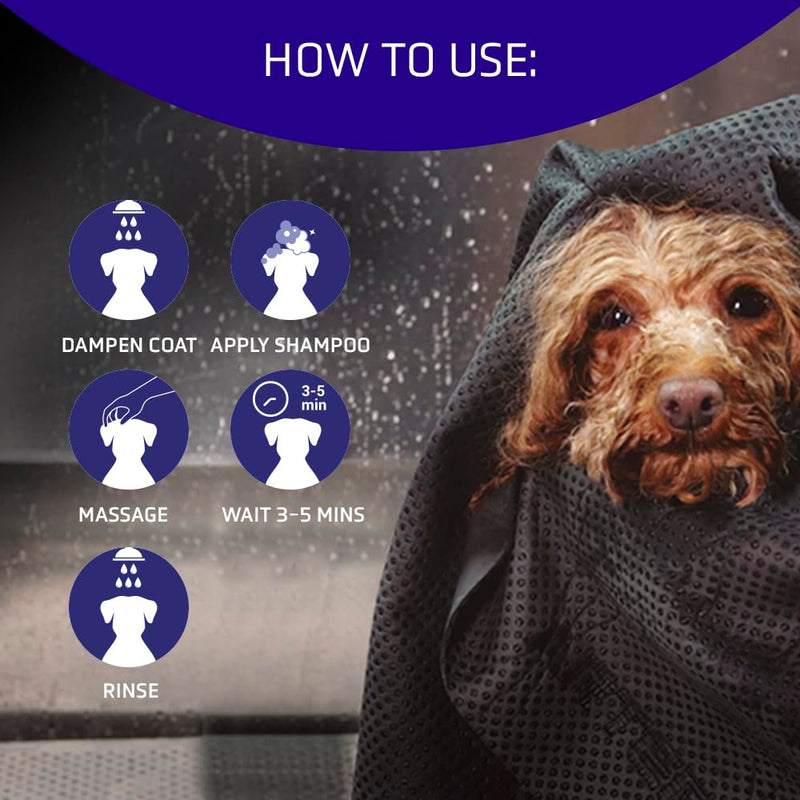 Artero Blanc. Whitening Shampoo for White Dogs and Black Dogs - PawsPlanet Australia
