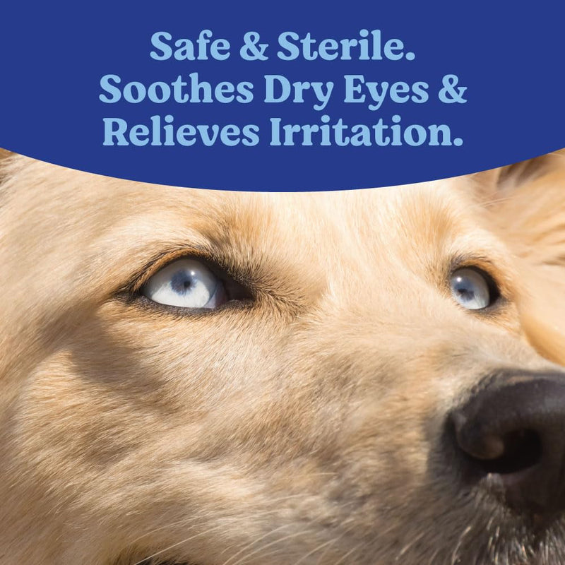 ANGELS' EYES Multi-Purpose Sterile Eye Lubricant | Soothes Dry Irritated Eyes | Safe for Dogs and Cats | Moisturize and Relieves Dry, Itchy Eyes | Tears and Discharge | 3.5g - BeesActive Australia