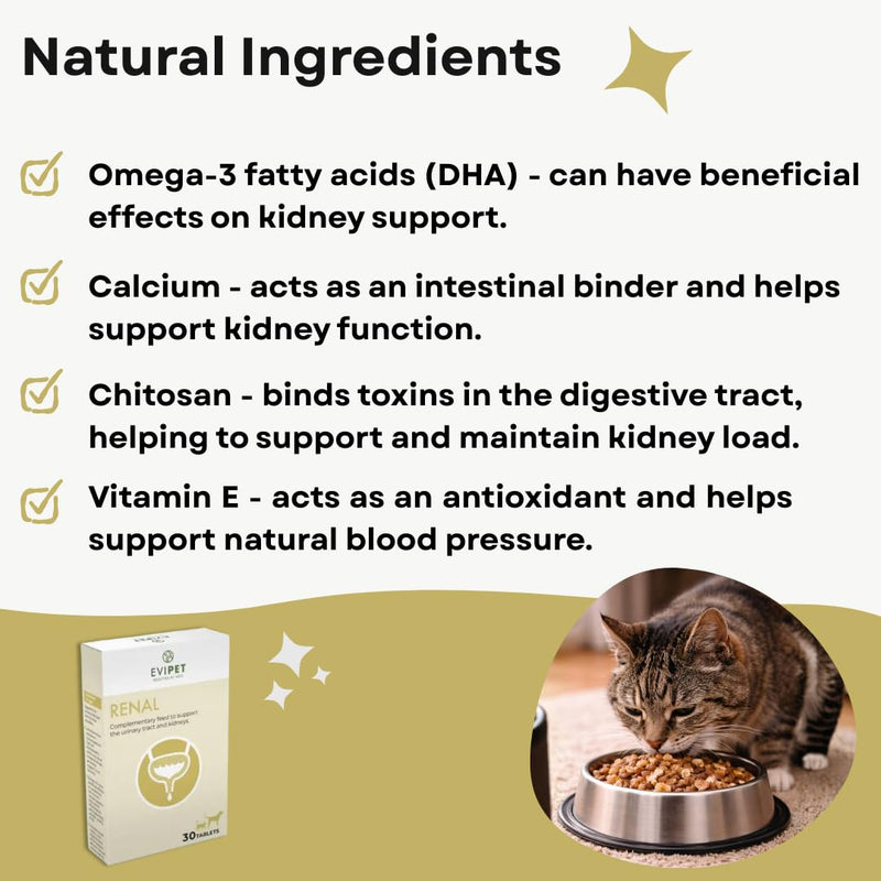 Renal Complementary Feed for Cats and Dogs | 30 Tablets | Helps and Maintains Renal Disorders | Supports the Urinary Tract
