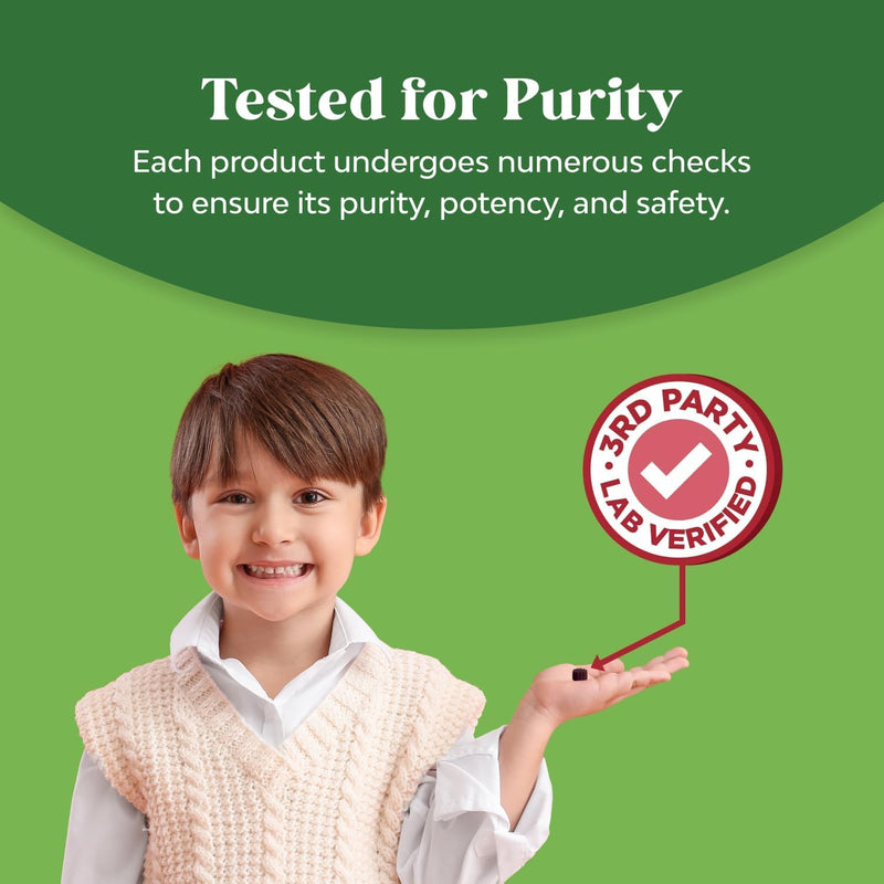Sambucus Elderberry Gummies for Kids Health - Delicious Black Elderberry Gummies with Zinc and Vitamin C for Kids Immune Support - Gelatin and Gluten Free Non-GMO Immunity Support - 90 Count 90 Count (Pack of 1)