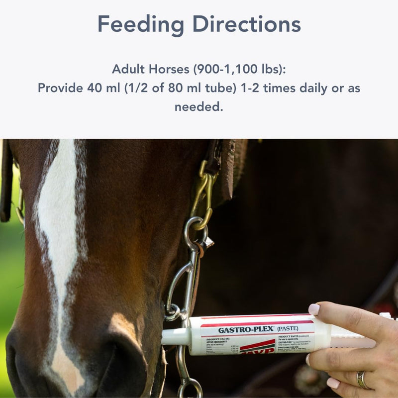 MVP Gastro-Plex Paste (2 dose tube) Gastric Stress Relief Paste for Horses