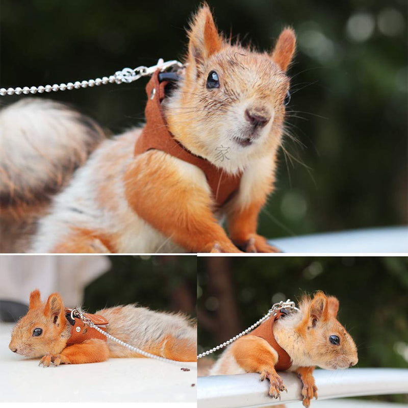 Squirrel Traction Rope Strap Anti-Biting Chain Rope, Adjustable Vest, Small Animal Walking Harness with Lead Leash, Hamster Gerbil Rat Mouse Ferret Chinchilla Small Animal Walking Leash Black - BeesActive Australia