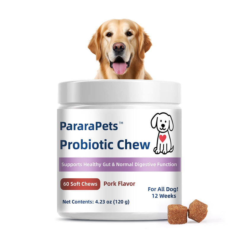 Probiotics for Dogs,Dog Gut Health Probiotics,Gastrointestinal Health Promotes Digestion and Nutrient Absorption, 60 Soft Chews