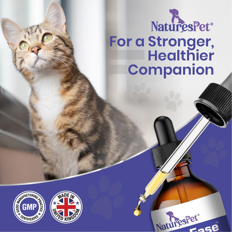 LIVEREASE – Milk Thistle for Cats (120ml) – Liver Support, Detox & Antioxidant Protection – Rich in Silymarins, Beef, Liver & Bacon Flavour