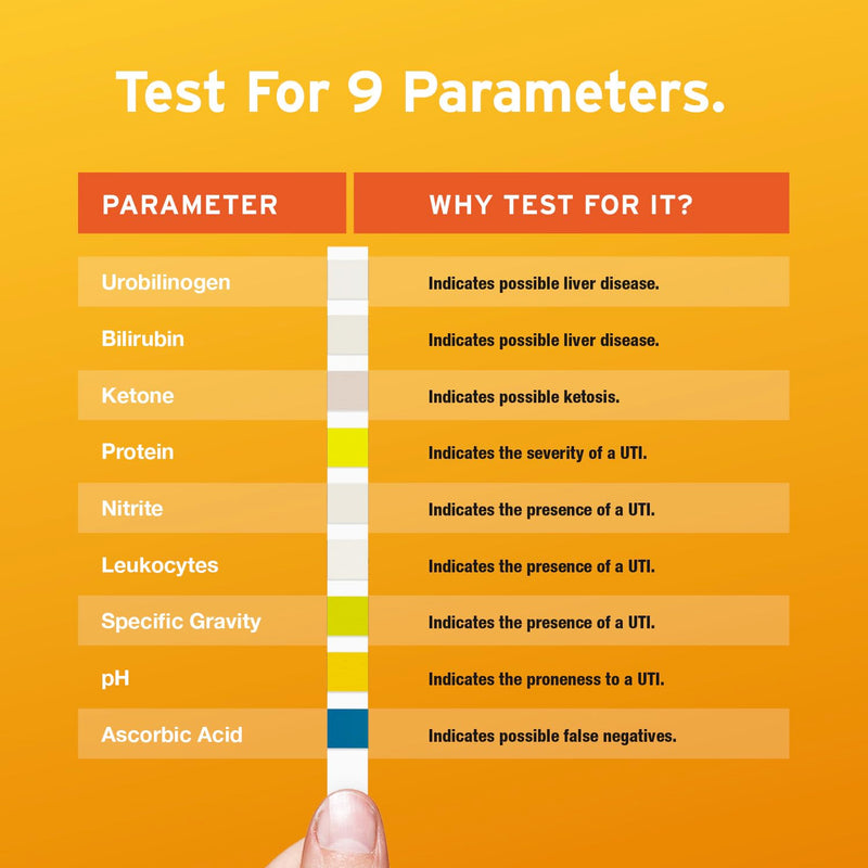 100 x AYDMED 9-in-1 UTI Test Strips | 9 Parameter Urine Test Strips for Leukocytes, Nitrite, Specific Gravity, pH, Protein, Urobilinogen, Bilirubin, Ketone & Ascorbic Acid | FSA & HSA Eligible - BeesActive Australia