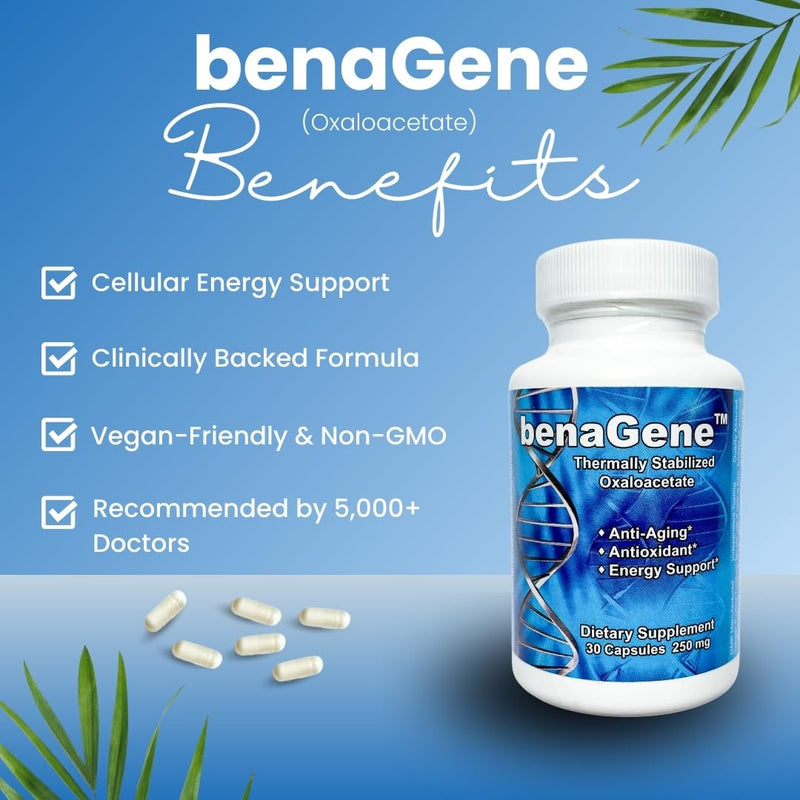 Benagene Oxaloacetate Supplement - Supports Cellular Energy - Thermally Stabilized with Vitamin C - Non-GMO & Vegan - 30 Servings, Once Daily 30 Count (Pack of 1)