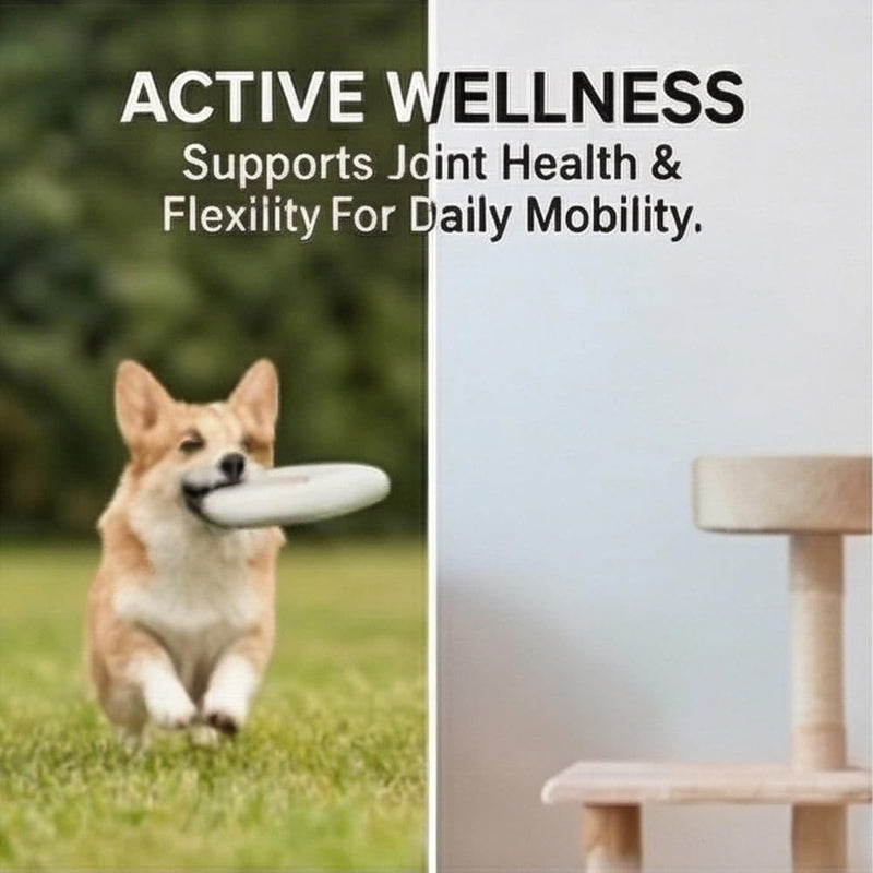 Hip & Joint Liquid Supplement for Dogs,Glucosamine with Chondroitin & MSM, Supports Joint Health, Mobility & Flexibility, Easy to Mix with Food, Daily Use, 2 fl oz (60 mL)