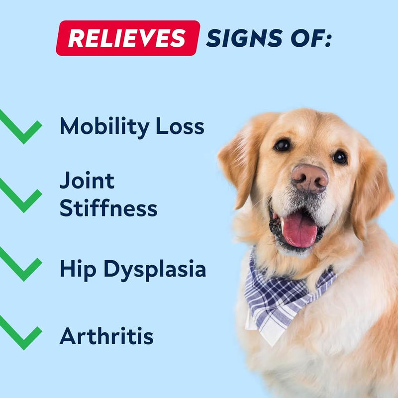 STRELLALAB Glucosamine Treats for Dogs - Joint Supplement w/Omega-3 Fish Oil - Chondroitin, MSM - Advanced Mobility Chews - Hip & Joint Care - 60 Chews Bison