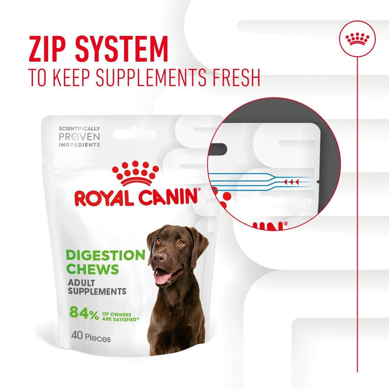 Royal Canin Dog Supplement for Digestion Soft Chews 160g