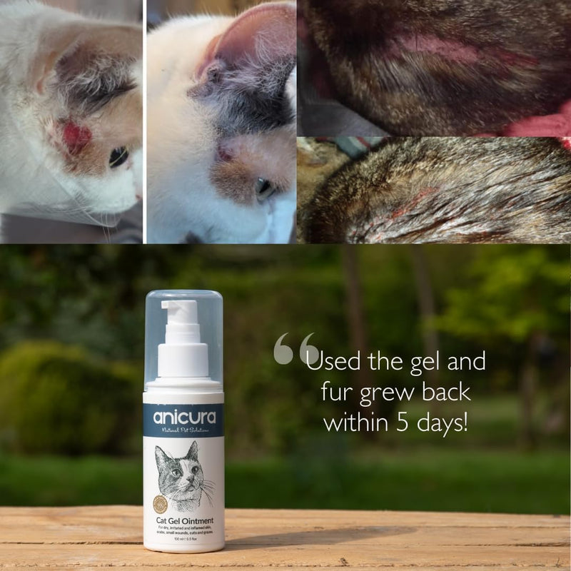 Anicura Cat Skin Ointment – soothes dry, itchy skin, hot spots & allergies. Reduces scratching & licking. Gentle for sensitive cats. Value bundle (2 x 100ml Pack)