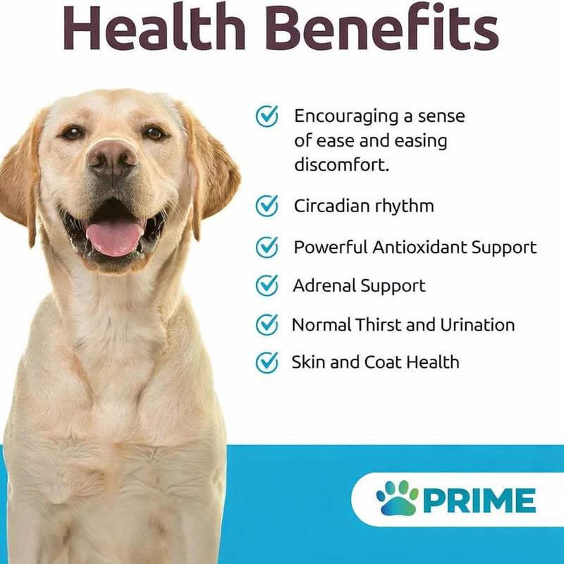 Prime Melatonin for Dogs, Calming Chewable Tablets - Beef Flavored, 6mg 90 Count - Supports Relaxation & Composure for All Dog Breeds