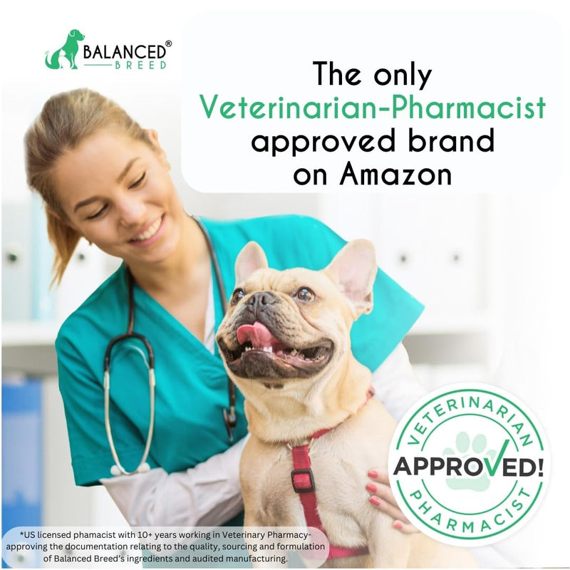 Balanced Breed Dog Probiotics Digestive Gut Health Chew Made in USA Non-GMO Vet-Pharmacist Approved Fortiflora Probiotics Dogs Anti Yeast Supplement Constipation Relief Dog Yeast Itchy Skin Itchy Ears Natural Chicken Protein - PawsPlanet Australia