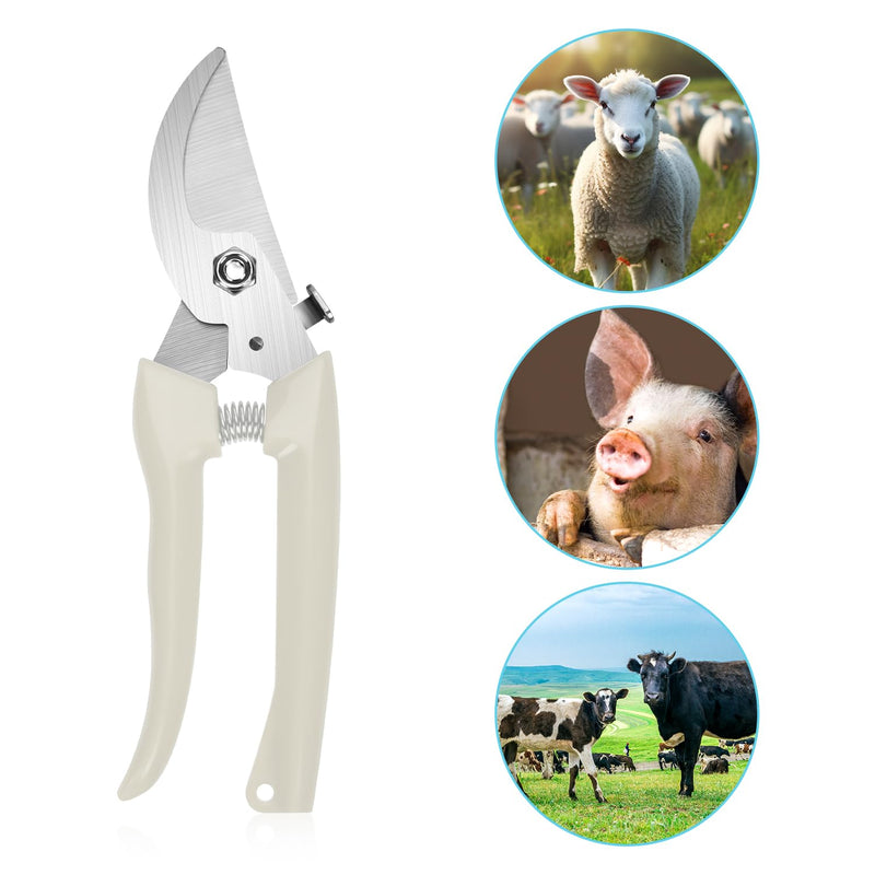 3pcs Goat Hoof Trimmers and File, Nail Clippers for Goats Hoof Nippers Curved/Straight Head Sheep Hoof Trimming Shears Hoof Rasp Horseshoe File for Goat Sheep Lamb Pig Animal Hooves(Off White) - BeesActive Australia