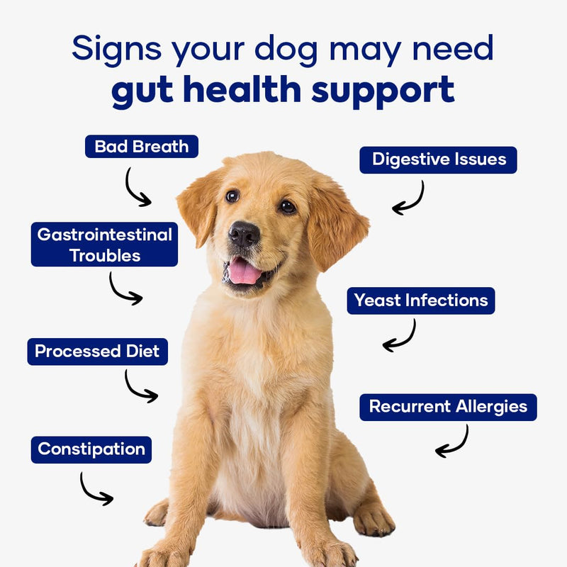 GastroQuel – Probiotics for Dogs | Digestive Support, Gut Health & Bowel Care | Dog Probiotic Chews | Dog Vitamins and Supplements - 30 Count 1