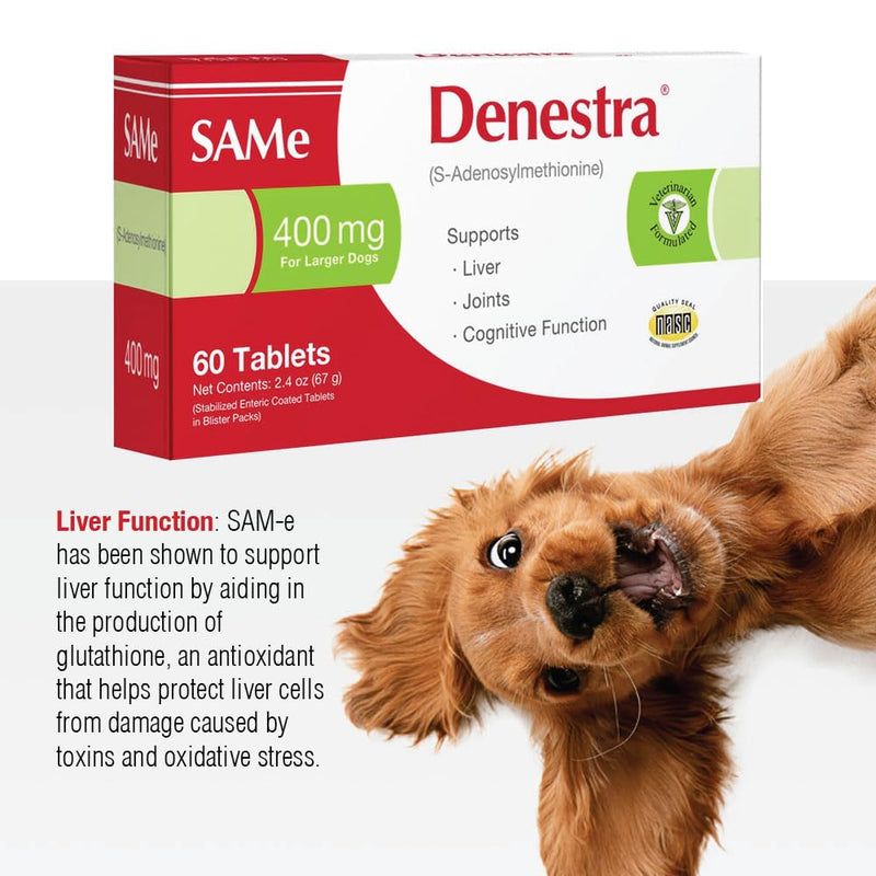 Same for Dogs - S-Adenosyl-L-Methionine - Liver, Joint and Cognitive Support for Large Dogs - Vet Approved - 400 mg - 60 Tablets - PawsPlanet Australia