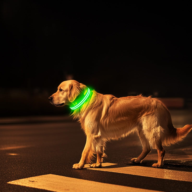 PcEoTllar Rechargeable Dog Light Collar, Luminous Dog Collar, Illuminated LED Collar for Dogs for Small Medium Large Dogs, Dog Light Collar, Waterproof, 3 Light Modes, Green-M M - BeesActive Australia