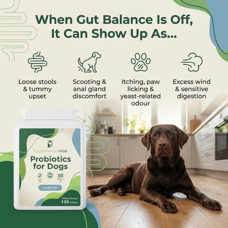 Probiotics For Dogs - Yeast Balance - Dog Probiotic for Gut Health - Dog Supplements for Itch Relief, Diarrhea, Wind, Anal Gland - Tummy Settler - 120 Tablets with Prebiotics and Digestive Enzymes