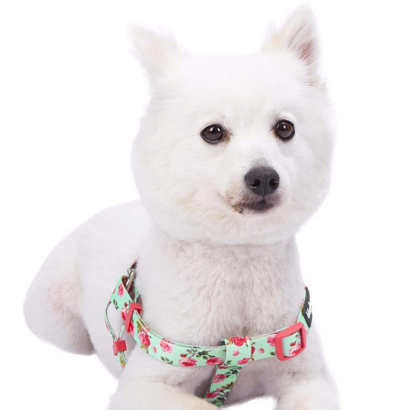Blueberry Pet 9 Patterns Step-in Spring Scent Inspired Floral Rose Print Turquoise Dog Harness, Chest Girth 20" - 26", Medium, Adjustable Harnesses for Dogs (20" -26") Chest Girth (Pack of 1) - BeesActive Australia