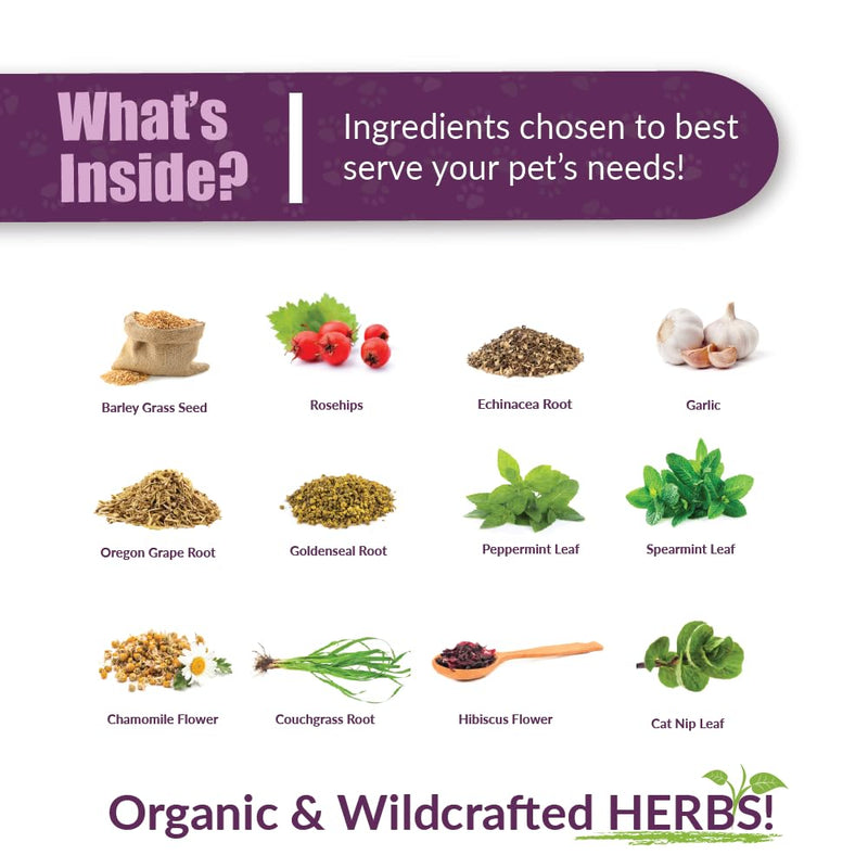 AMBER NATURALZ Kitty-DT Digestive Rescue Herbal Supplement for Cats | Feline Herbal Supplement for Occasional Upset and Digestive Support | 1 Fluid Ounce Glass Bottle | Manufactured in The USA - BeesActive Australia