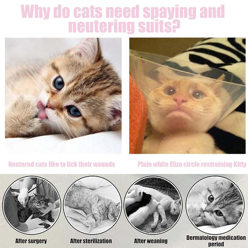 1 Piece Professional Cat Recovery Suit for Abdominal Wounds or Skin Diseases Kitten Surgery Recovery Suit E-Collar Alternative for Cats Dogs Post Surgery (M) - BeesActive Australia