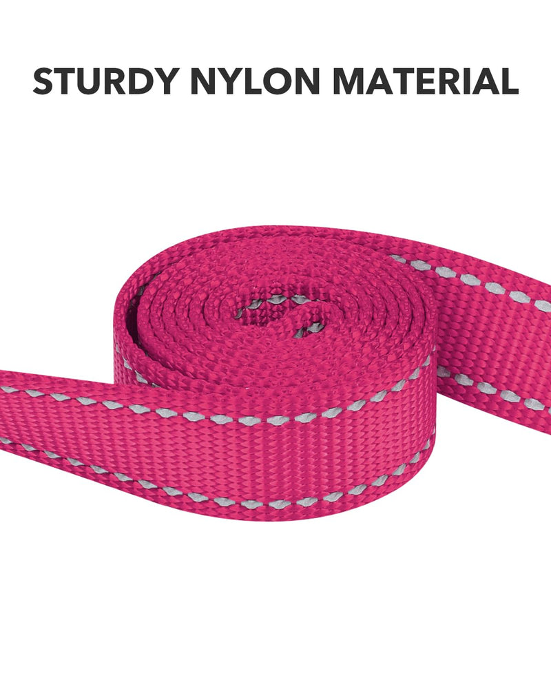 Taglory Dog Leash for Small Dogs, Double-Sided Reflective Dog Leash with Soft Neoprene Padded Handle, 3/4 inch by 4 ft, Fit Small Medium Large Breeds Dogs Under 20 lbs, Hot Pink 3/4 in x 4 ft (Pack of 1) - BeesActive Australia