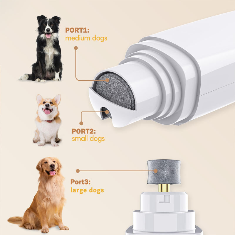 Dog Nail Grinder, Dog Paw Trimmer Quite, 2-Speed Pet Nail Grinder for Dogs, Efficient Paw Trimmer for Dogs, Professional Dog Cat Pet Nail Grinder and Paw Trimmer Grooming Kit for Eyes, Ears and Feet - BeesActive Australia