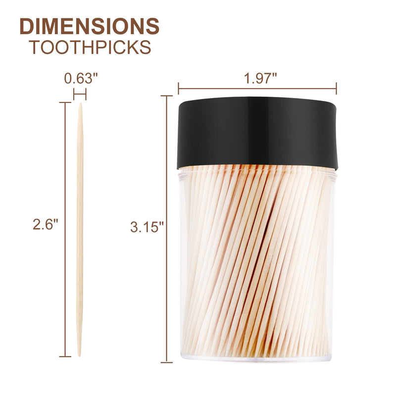 Bamboo Wooden Toothpicks [3000 Count]-With 2-Pack Reusable Toothpick Holder, Sturdy Smooth Finish Tooth Picks, For Appetizer, Olive, Barbecue, Fruit, Teeth Cleaning Toothpicks, Black. - BeesActive Australia