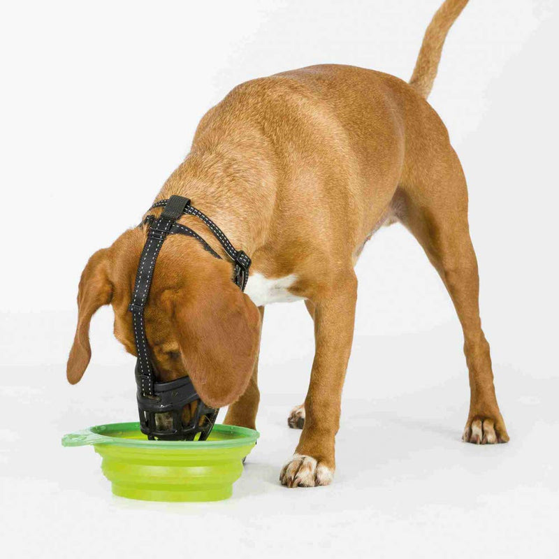 TRIXIE Muzzle Flex Muzzle, Silicone Black M - BeesActive Australia