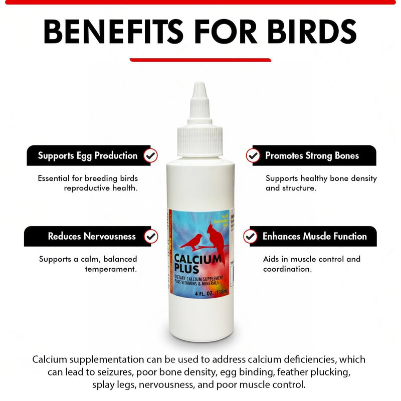 Morning Bird Calcium Plus Liquid for Birds – Calcium Supplement with Vitamins and Minerals for Strong Eggshells, Healthy Bones - Support Growth, Breeding, and Wellness for All Birds 4 Fl Oz