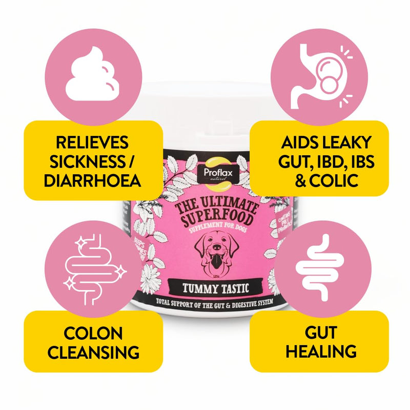Proflax Tummy Tastic Digestive Care for Dogs – Pre & Probiotic Blend for Gut Health, Digestion & Stool Quality - 350g 350 g (Pack of 1)