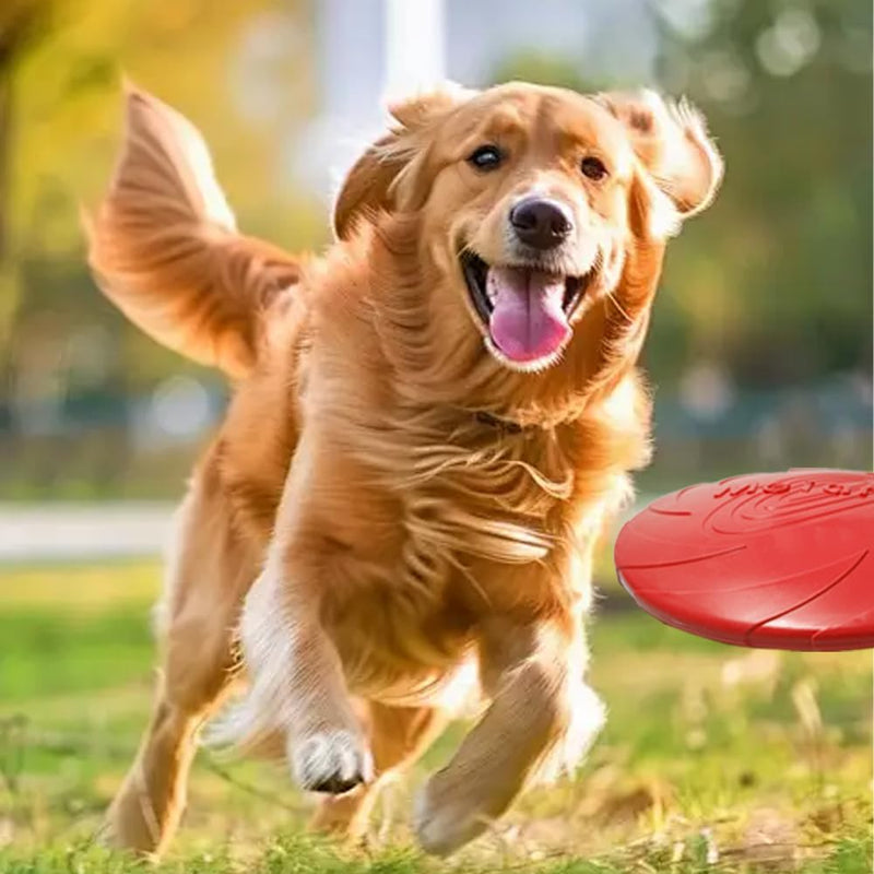 gyaxmybz-Durable Dog Frisbee for Outdoor Play - Dog Fetch Toy, Floating in Water, 8.6" Diameter, Doubles as a Food/Water Bowl, for Healthy Activities - for Medium/Large Dogs (red) red - BeesActive Australia