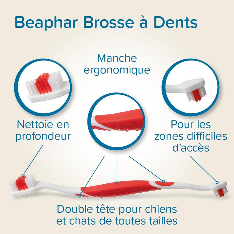 Beaphar Toothbrush 1 piece - Double Sided Brush with a Small and Large Brush - Especially for Dogs and Cats Red 1 count (Pack of 1)