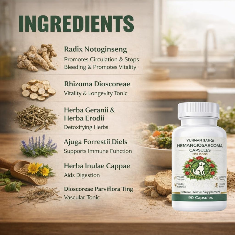 Yunnan Sanqi Capsules for Dogs - Pure Herbal Quick Stop Bleeding & Blood Support for Hemangiosarcoma, Hemoabdomen, Pericardial Effusion, Severe Bruising, Ulcer-Related Bleeding, 90 Capsules