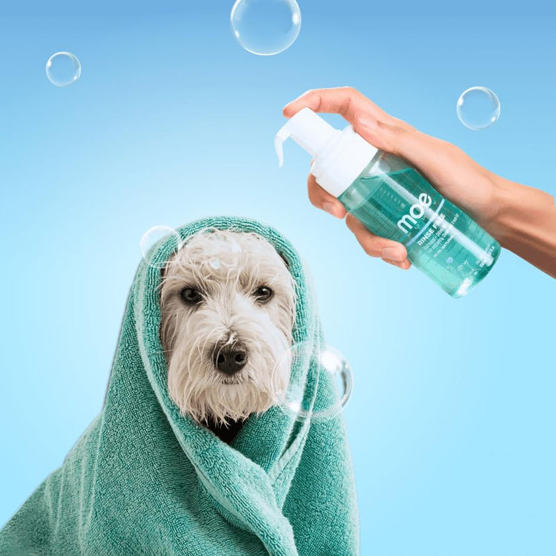 Moe Rinse Free Pet Dry Shampoo for Instantly Clean and Fresh Fur | Waterless Foam Cleanser for Dogs and Cats | (150 ml) (Blue) - BeesActive Australia