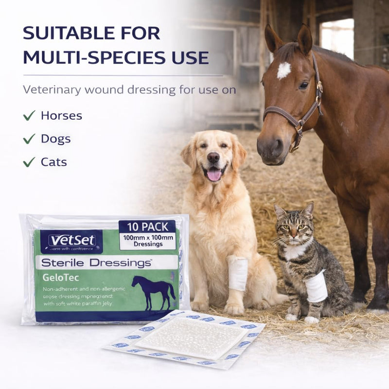 GeloTec | Paraffin Gauze Dressing for Horses, Dogs, Cats & Animals | Sterile Non Adherent Contact Layer for Burns & Wounds | 100mm x 100mm (10 Pack) 10 Pack (100mm x 100mm)