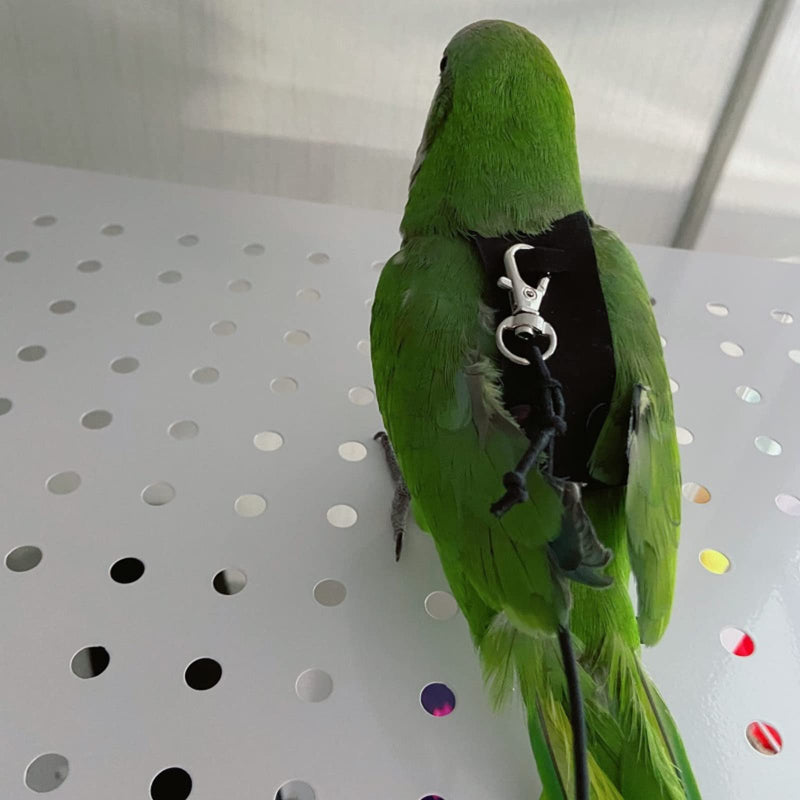 Bird Flight Harness Vest, Parrot Flight Suit with Leash for Parakeets Cockatiels Conures Budgies, Bird Flying Clothes with Rope and Handle for Outdoor Activities Training, Anti Bite (Medium) Medium - BeesActive Australia