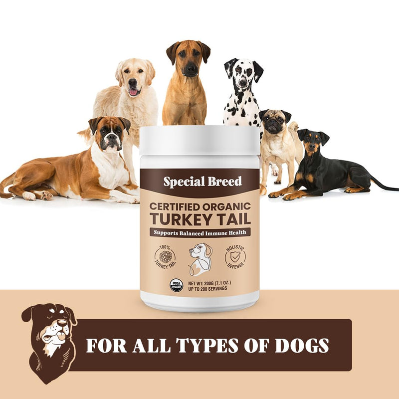 Special Breed Turkey Tail Mushroom for Dogs and Cats - Certified Organic Turkey Tail Powder, Canine Immune Support, 200 Grams - PawsPlanet Australia