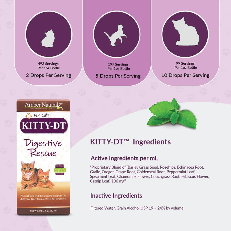 AMBER NATURALZ Kitty-DT Digestive Rescue Herbal Supplement for Cats | Feline Herbal Supplement for Occasional Upset and Digestive Support | 1 Fluid Ounce Glass Bottle | Manufactured in The USA - BeesActive Australia