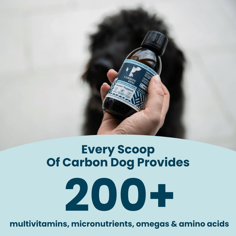 Senior Support Dog Supplement 150ml | Specially Formulated Supplements for Senior Dogs | Maintains Comfort & Vitality | 100% Natural | With Salmon Oil and Flaxseed Oil
