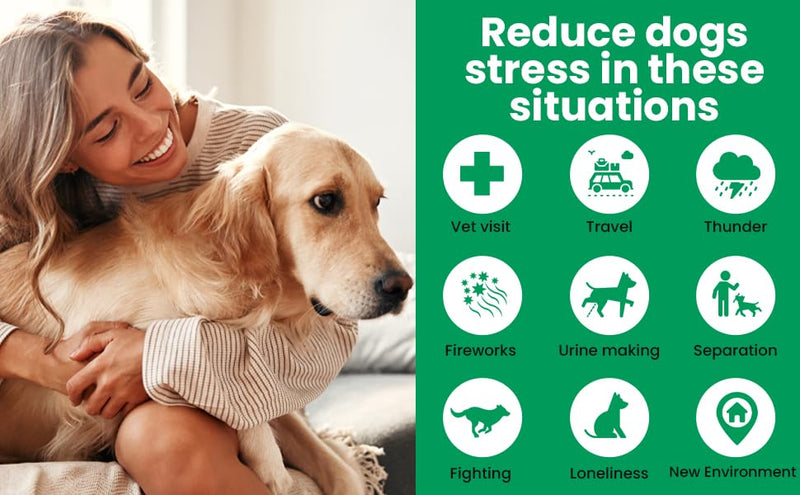EcoValley Dog Puppy Calming Anxiety Spray - Training Aid & Natural Separation Anxiety Relief - Chemical-Free Formula - 500ml 500 ml (1 Pack)