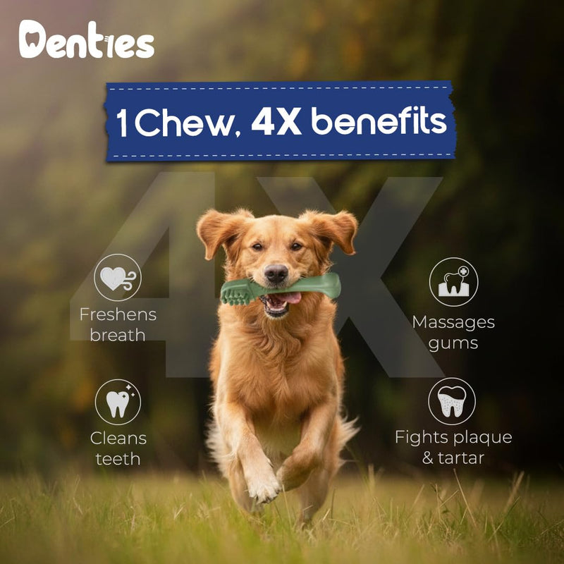 Dental Chews for Dogs–Vet Recommended Dental Dog Treats for Regular/Medium Dogs(23 to 50 lbs),Cleans Teeth, Freshens Breath,Reduce Plaque,Mint Chicken & Beef Recipe,16 oz Pack,30 Count MEDIUM.