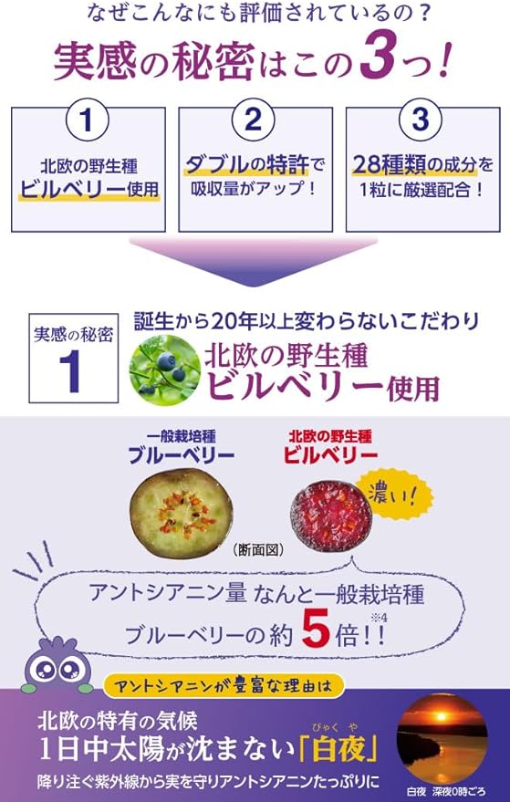 [Official] Wakasa Life Blueberry Eye 1 bag contains 31 tablets Approximately 1 month's supply Contains 28 types of ingredients such as nano bilberry extract lutein and hyaluronic acid - BeesActive Australia