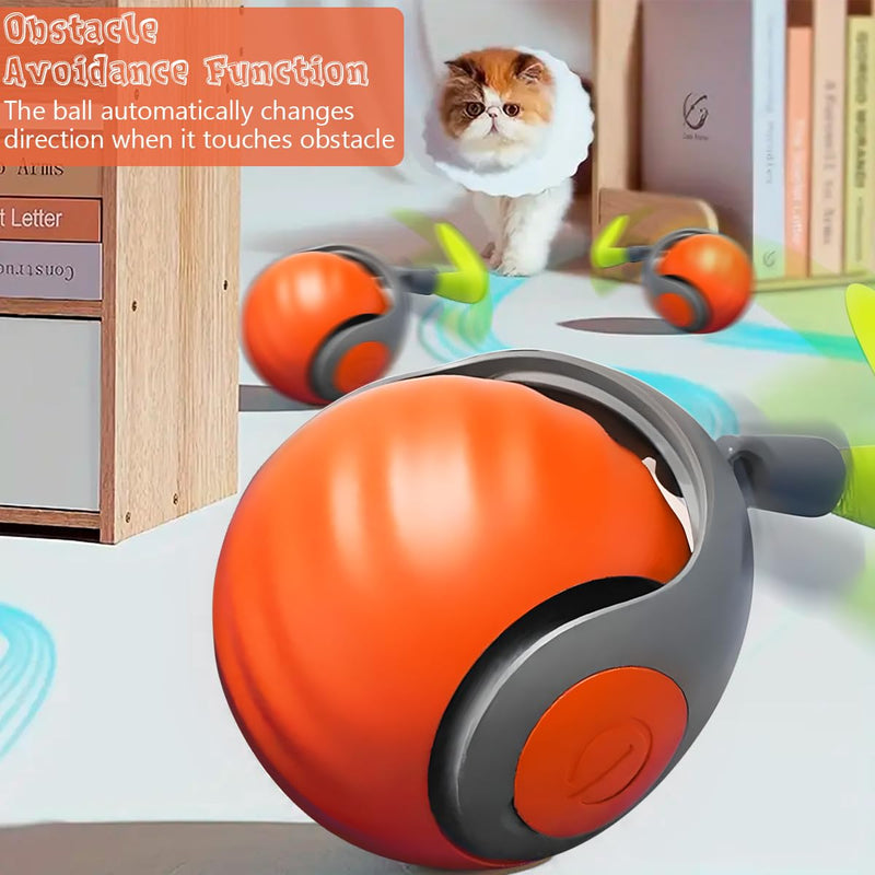 Speedy Tail 2.0,Speedy Tail Cat Toy,Smart Interactive Cat Toy Balls,Automatic Moving Balls for Cat Dog Touch Motion Rolling Cat Toy Ball,Self Rolling Smart Cat Toy Ball Interactive Cat Toys with Tail Orange - BeesActive Australia