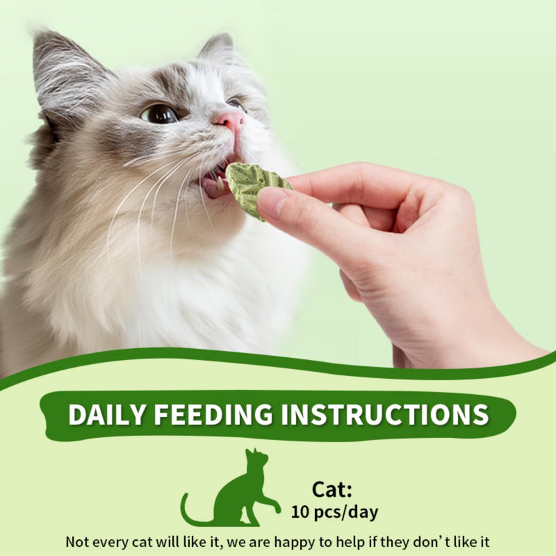 Cat Grass Sticks for Cat, Cat Grass Teething Stick Snack Canned for Indoor Cats, Cat Grass Treats for Teeth Cleaning and Hairball Relief - BeesActive Australia