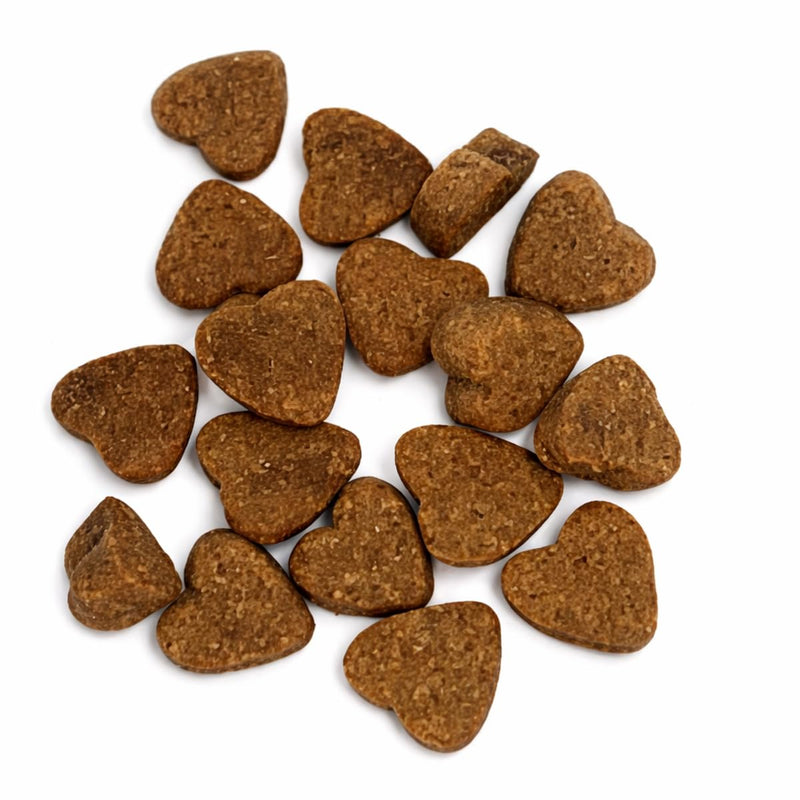 Hamiltons Hip & Joint Supplement for Dogs – 120 Soft Chews Treats with Glucosamine, Chondroitin, MSM & Green Lipped Mussel – Supports Mobility & Stiff Joints for Adult & Senior Dog– Beef Flavour
